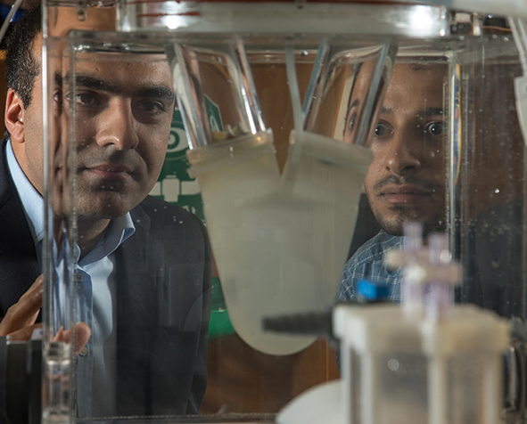 Ali Azadani 和 fellow researcher viewing a biomedical device in Azadani's lab